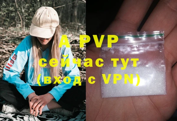 твердый Верхний Тагил