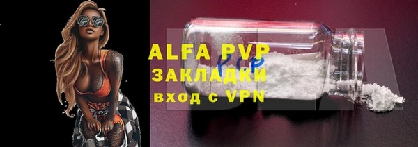 ГАЛЛЮЦИНОГЕННЫЕ ГРИБЫ Верея