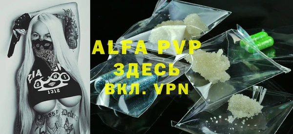 ГАЛЛЮЦИНОГЕННЫЕ ГРИБЫ Верея