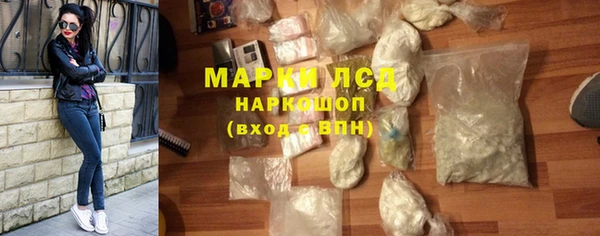 ГАЛЛЮЦИНОГЕННЫЕ ГРИБЫ Верея