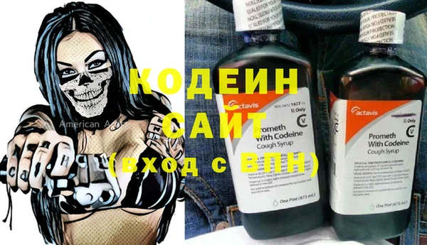 ГАЛЛЮЦИНОГЕННЫЕ ГРИБЫ Верея