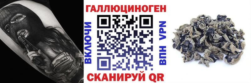 магазин продажи   Петухово  Галлюциногенные грибы MAGIC MUSHROOMS 
